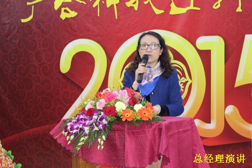 2015年suncitygroup太阳新城迎春晚宴